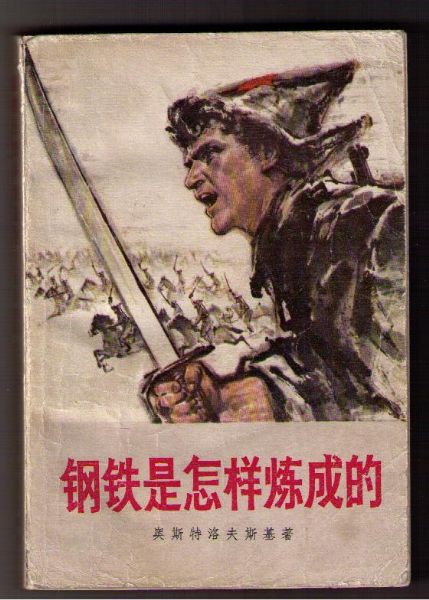 在磨练中生长，，，，，，从摔倒中爬起&amp;mdash;&amp;mdash;读《钢铁是怎样炼成的》 - 文学苑 - J9集团