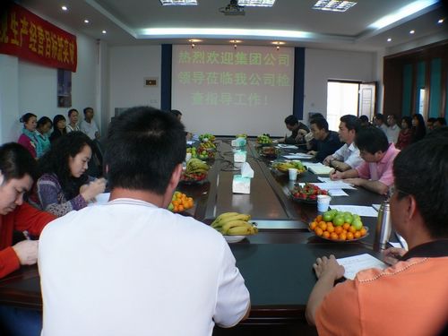 集团公司检查审核组莅临长长公司检查指导事情 - 企业要闻 - J9集团
