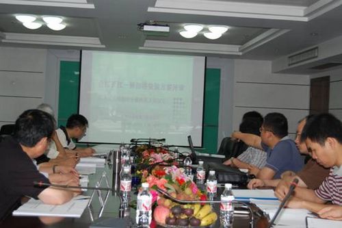 合江长江一桥扣塔装置方案顺遂通过评审 - 企业要闻 - J9集团