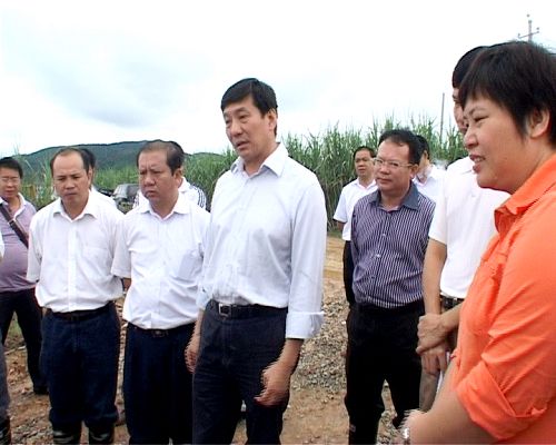 百色市市长谢泽宇到新山铝工业树模园园区路网工程项目检查指导事情 - 企业要闻 - J9集团