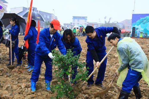 总公司团委组织青年员工加入“绿满八桂，，绿动青春”植树活动 - 企业要闻 - J9集团