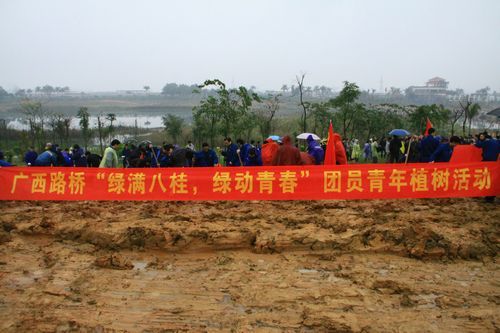 总公司团委组织青年员工加入“绿满八桂，，绿动青春”植树活动 - 企业要闻 - J9集团