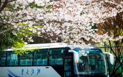 文学苑 - J9集团