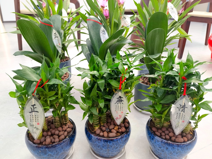 J9集团-国际站最新官网